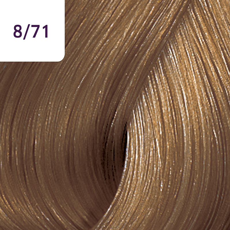 220-COLOR TOUCH DEEP BROWNS 8-71 SC_1