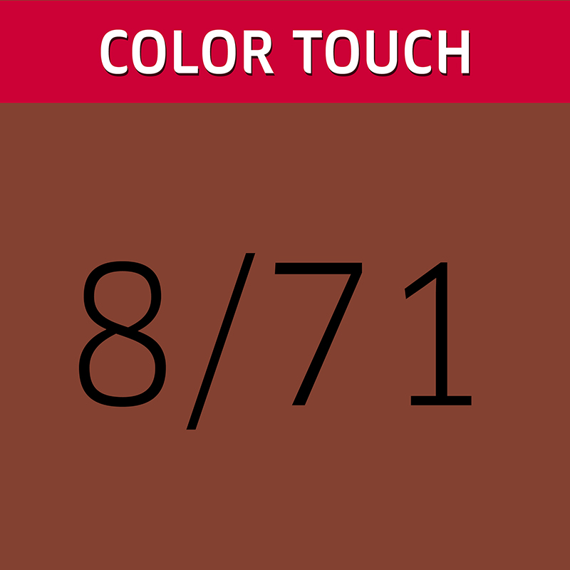 220-COLOR TOUCH DEEP BROWNS 8-71 SC_3