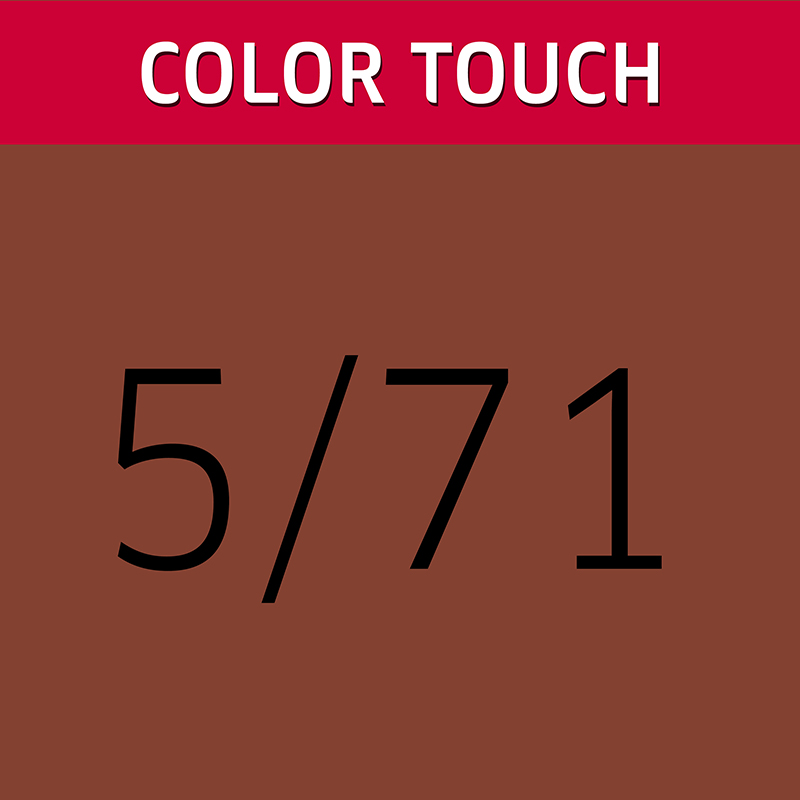 221-COLOR TOUCH DEEP BROWNS 5-71 SC_2