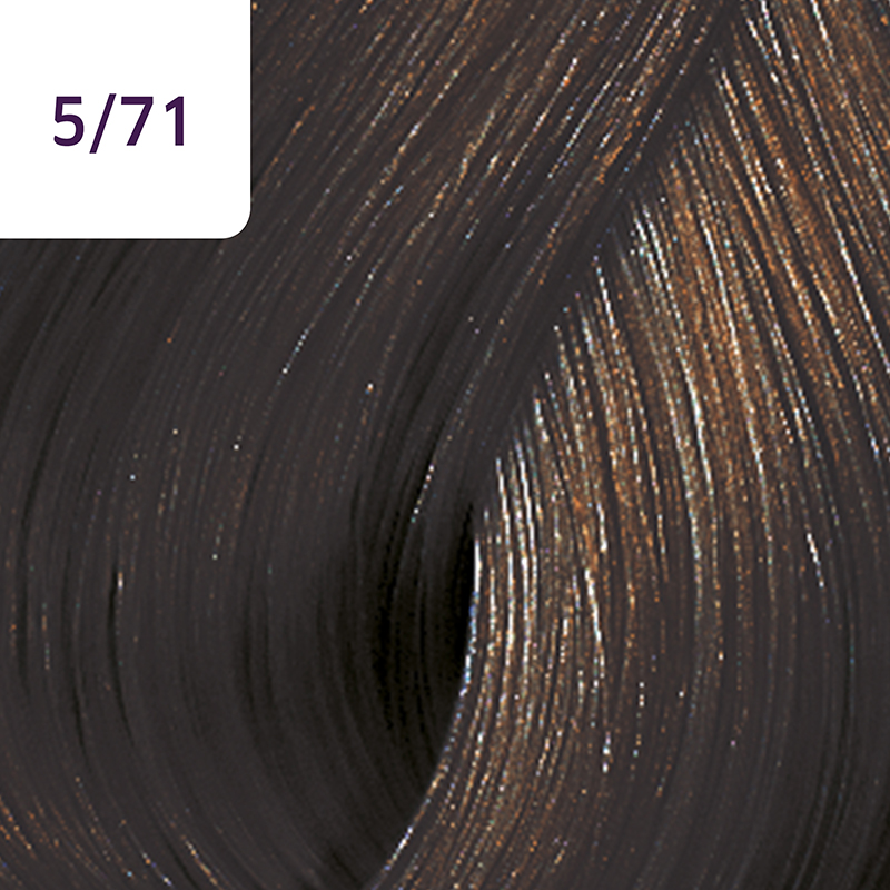 221-COLOR TOUCH DEEP BROWNS 5-71 SC_3